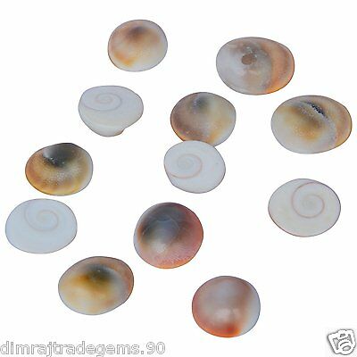 Gomti Chakra For Wealth,health,success & Worship 21 Pieces Pack