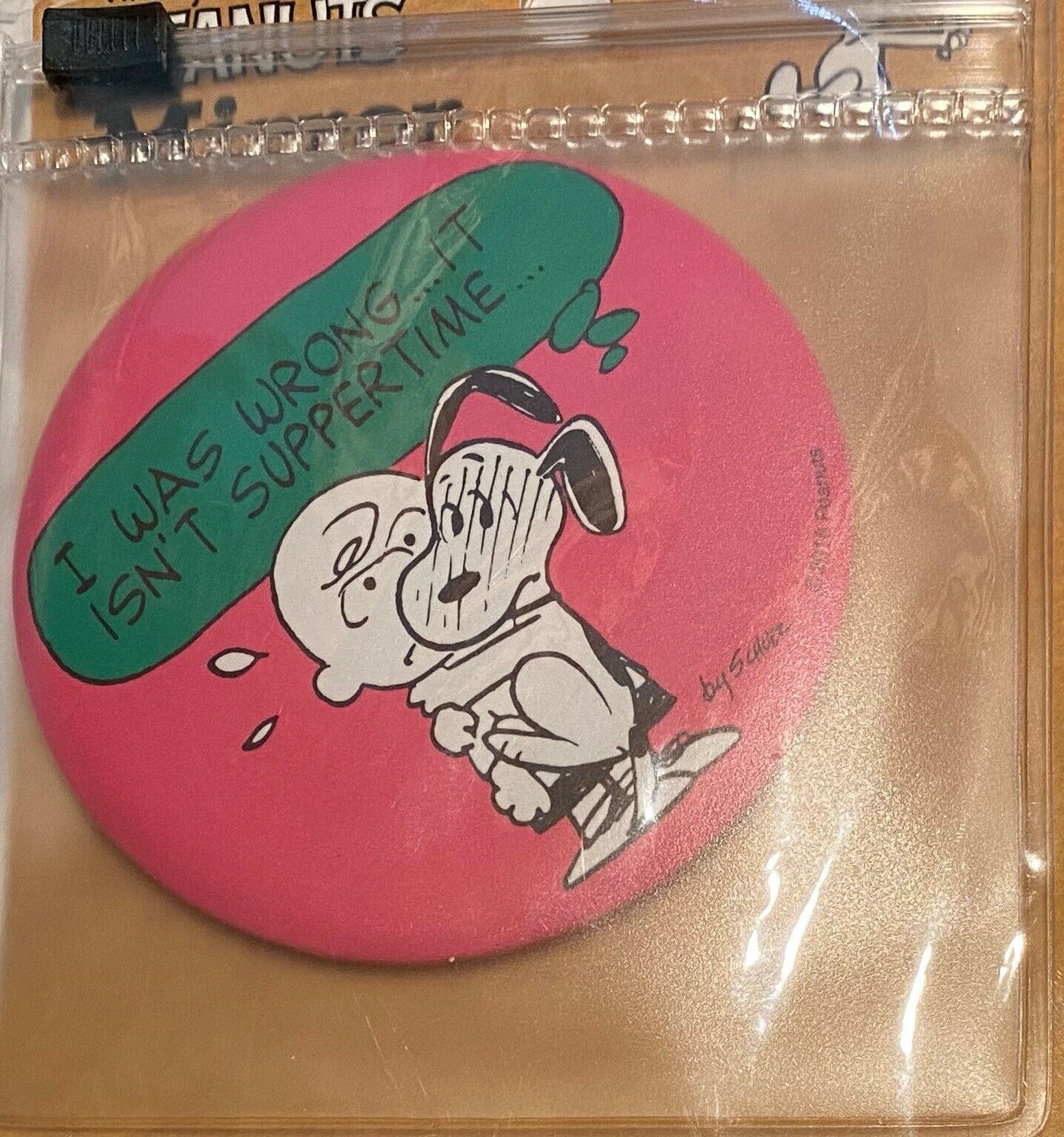 Snoopy  Personal Mirror In Plastic Pouch - Japan
