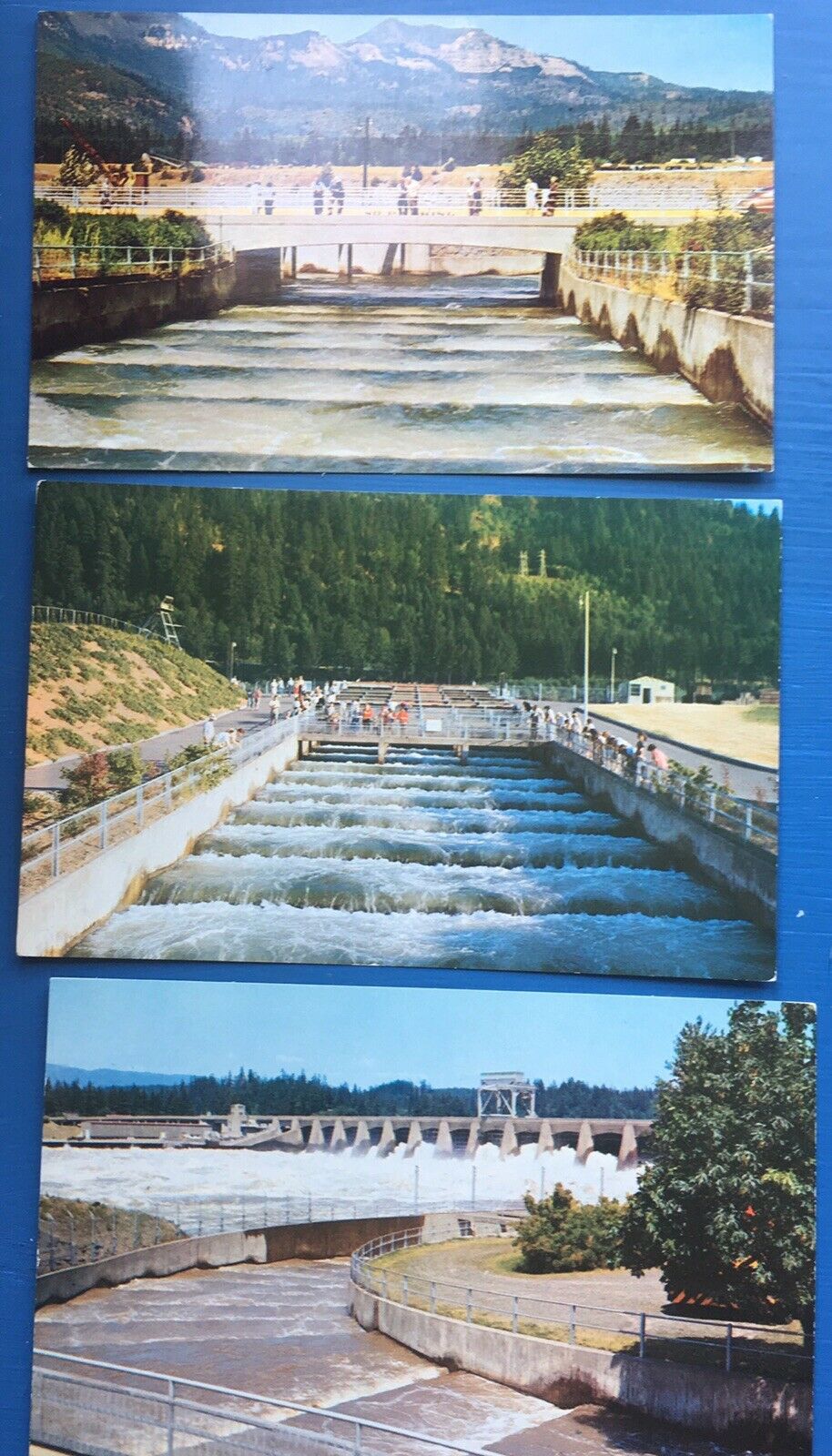 Bonneville Dam Columbia River Fish Ladders Postcards (3), Between Or And Wa
